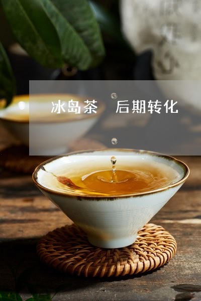 冰岛茶 后期转化/2023032834926